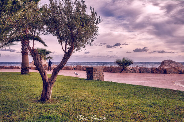 Calpe__MG_0729-enfocada.jpg