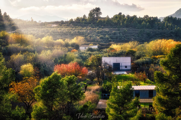 OtonoSierraAlicantina__MG_0884.jpg